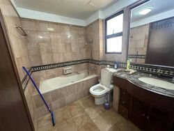 Dover Parkview (D5), Condominium #496306971